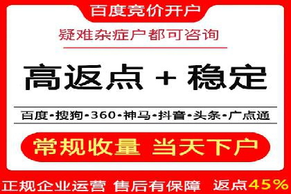 SEM广告投放的技巧与策略——成功案例分享
